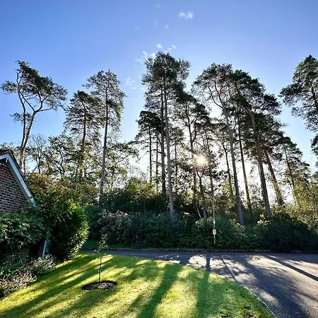 Soho House In Bordon Apartment Exterior photo