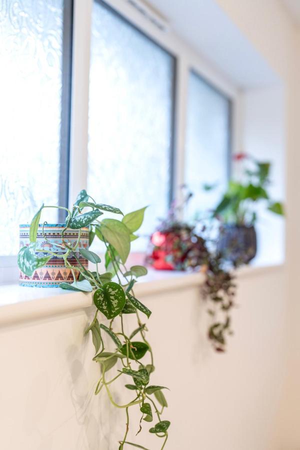 Soho House In Apartment Bordon